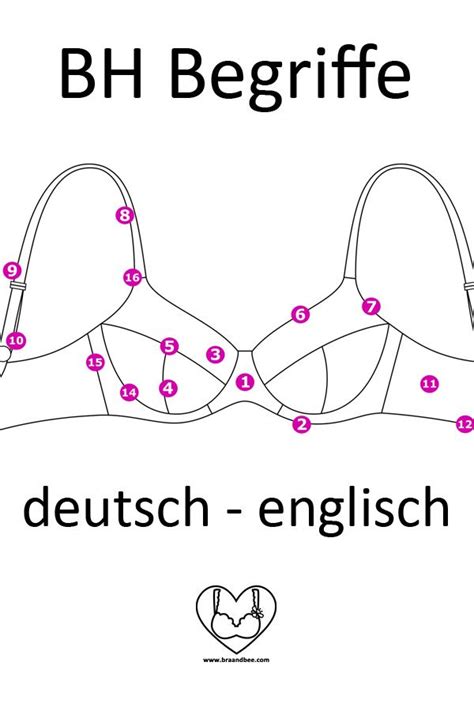 brassiere übersetzung|brassiere .